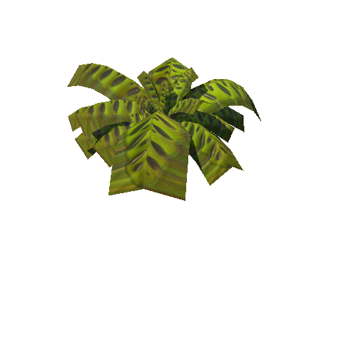 01-Tropical04 Fern01